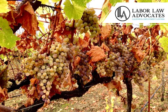 demanda al vertedero en napa valley