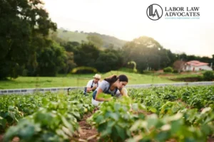 violaciones a la ley laboral